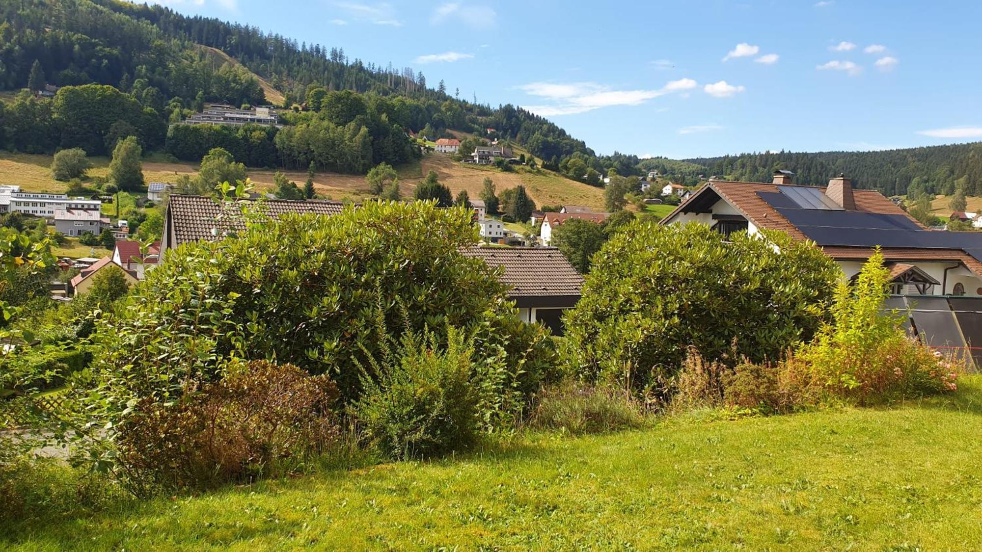 Green Hills Holiday House Warmensteinach Exterior foto